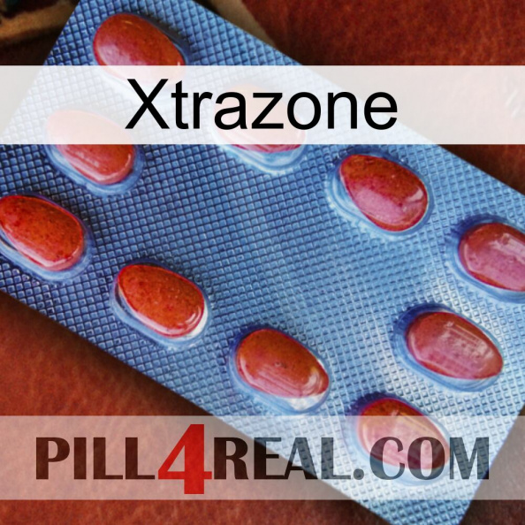 Xtrazone 06.jpg